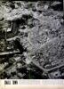 The Battered Face of Germany, Page 4